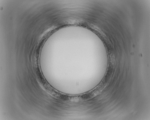 X0000071330587200607212009