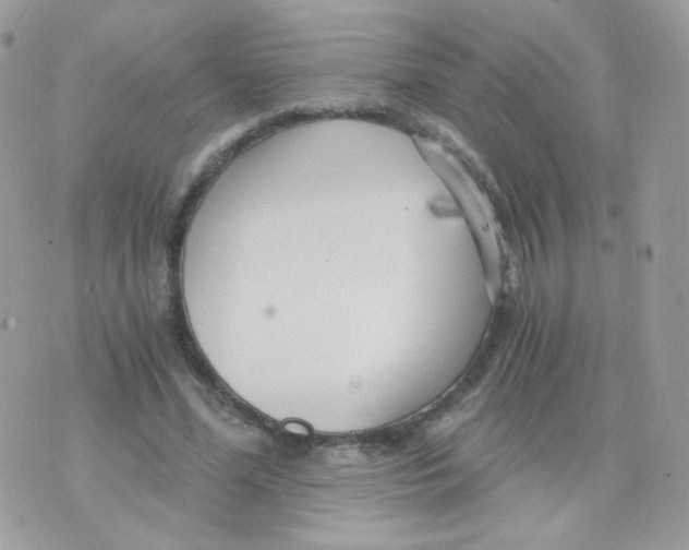 X0000071330588200607212009