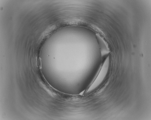 X0000071330589200607212009