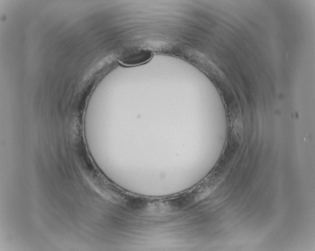 X0000071330591200607212009