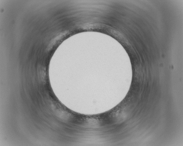 X0000071330592200607212009