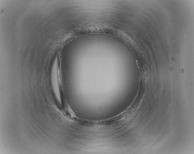 X0000071330593200607212009