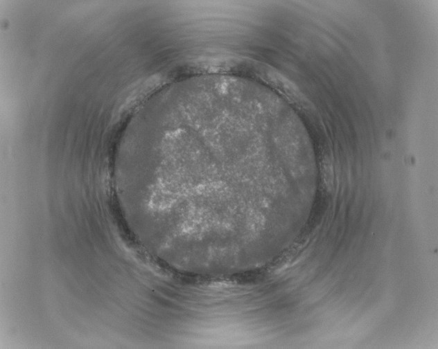 X0000071330594200607212009