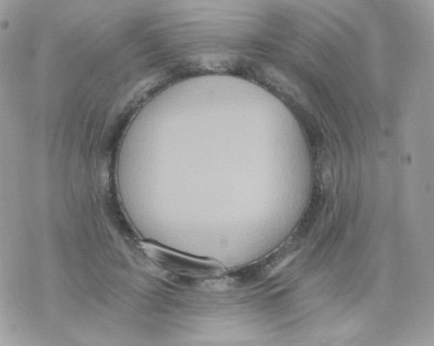 X0000071330595200607212009