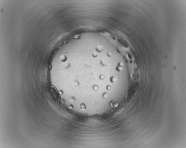 X0000071330596200607212009