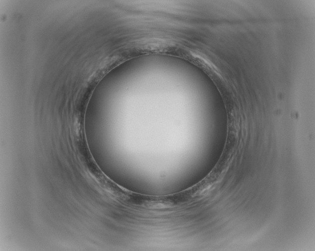 X0000071330597200607212009