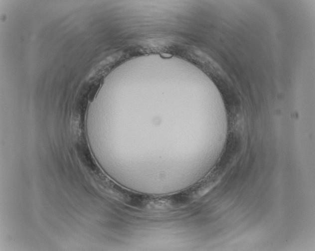 X0000071330599200607212009