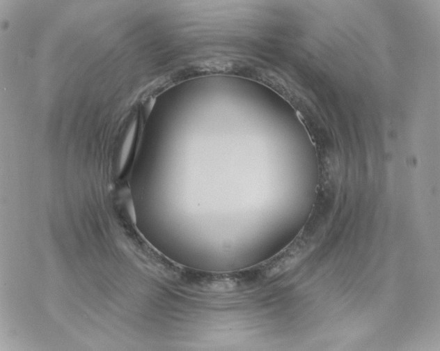 X0000071330600200607212009