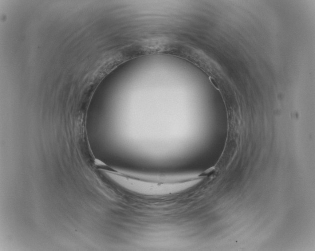 X0000071330601200607212009