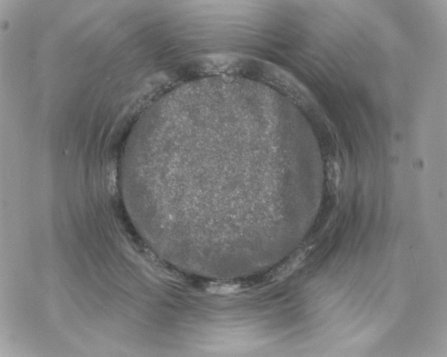 X0000071330602200607212009