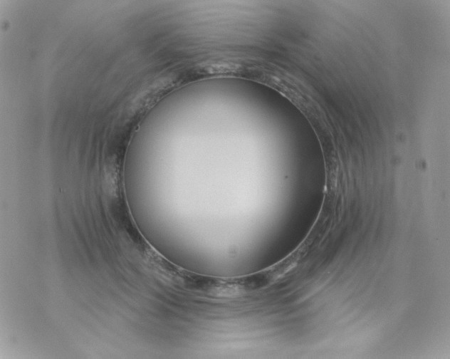 X0000071330604200607212009