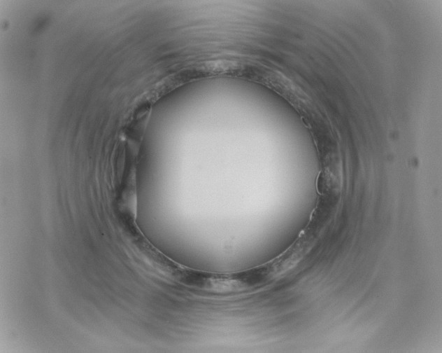 X0000071330605200607212009