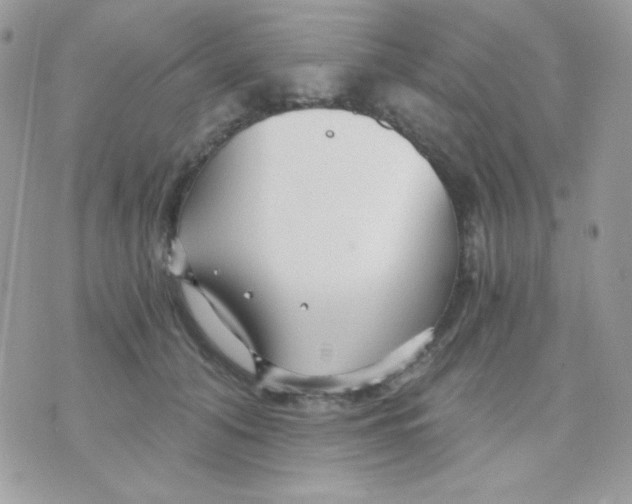 X0000071330608200607212009