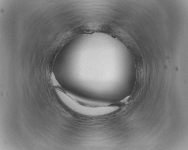 X0000071330609200607212009