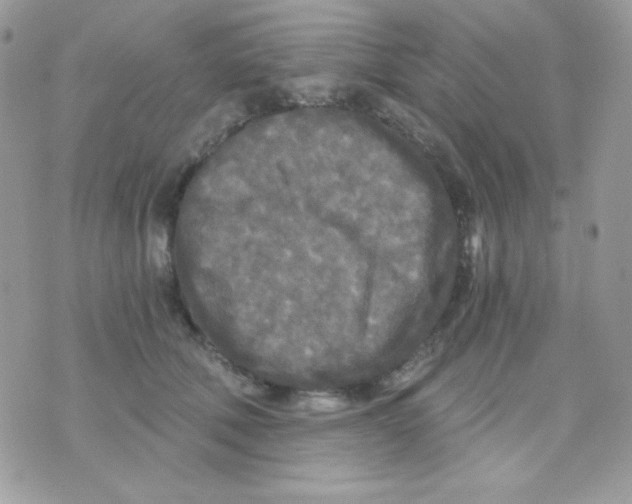 X0000071330610200607212009