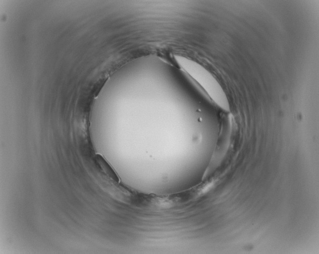 X0000071330613200607212009