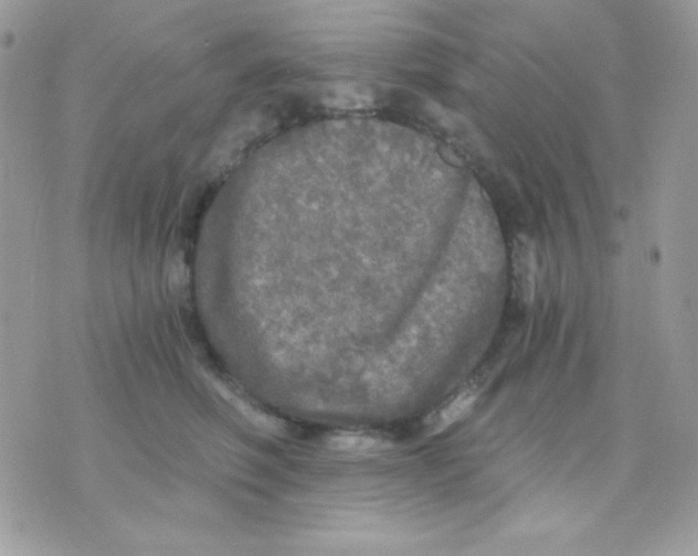 X0000071330614200607212009