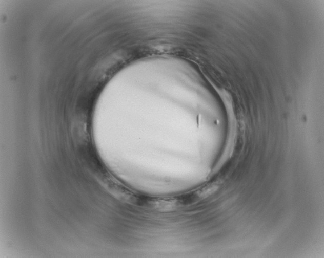 X0000071330615200607212009