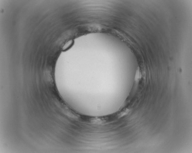 X0000071330616200607212009