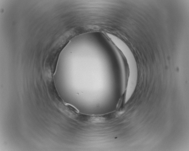 X0000071330617200607212009