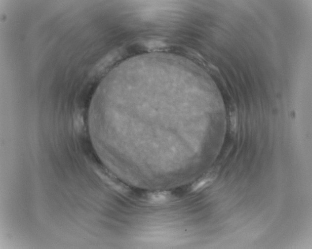 X0000071330618200607212009