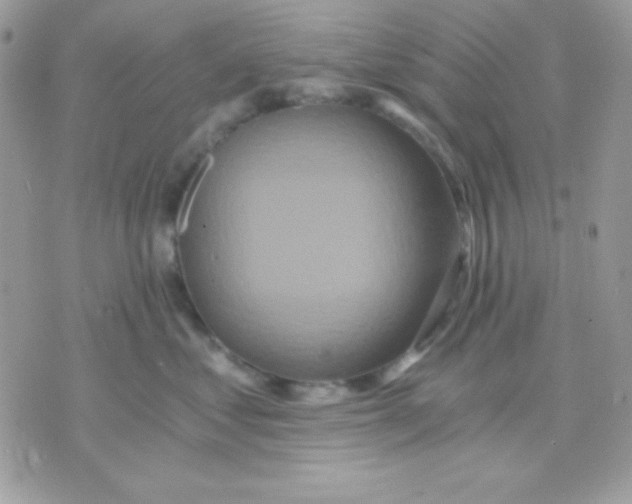 X0000071330621200607212008