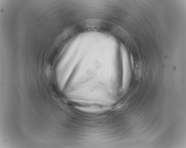 X0000071330623200607212008