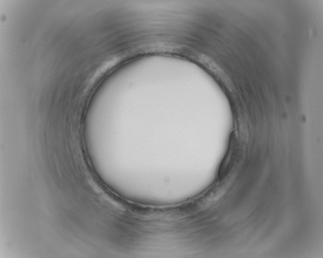 X0000071330625200607212008