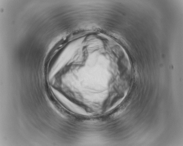 X0000071330630200607212008