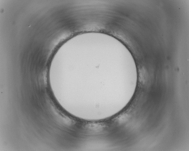 X0000071330632200607212008