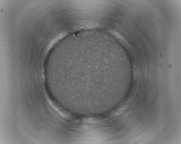 X0000071330634200607212008