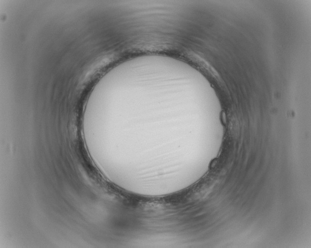 X0000071330635200607212008