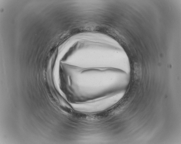 X0000071330641200607212008