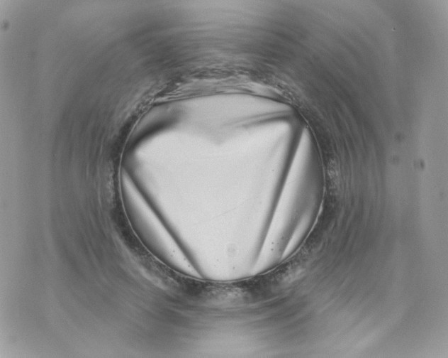 X0000071330642200607212008