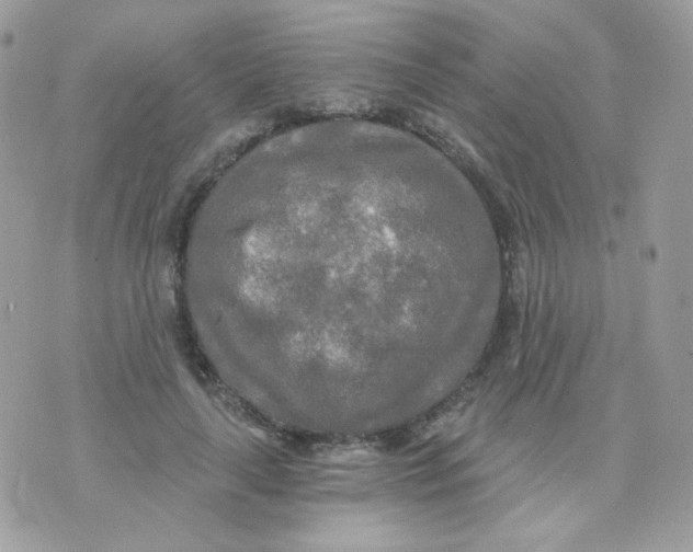 X0000071330643200607212008