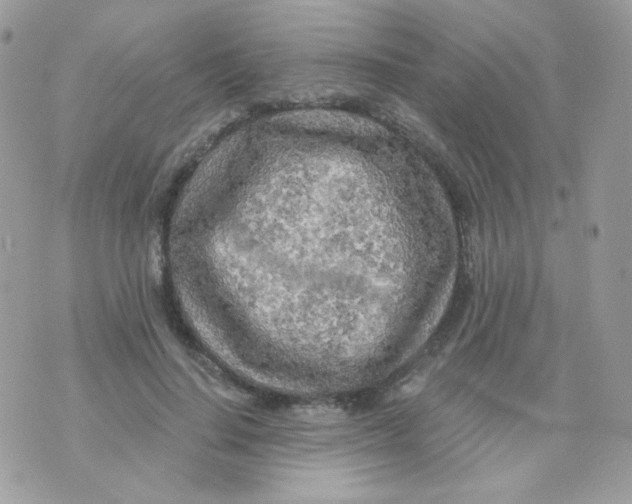 X0000071330644200607212008