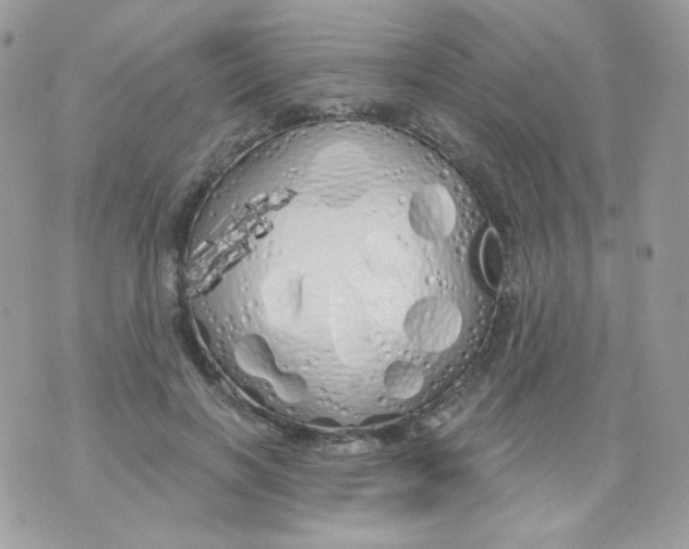 X0000071330646200607212008