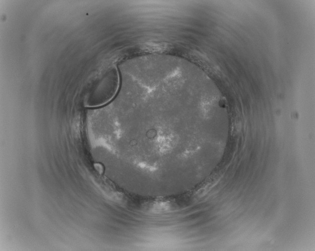 X0000071330647200607212008