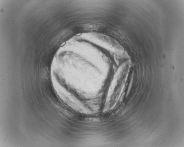 X0000071330649200607212008