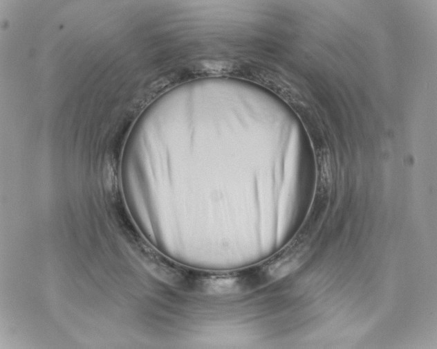 X0000071330651200607212008