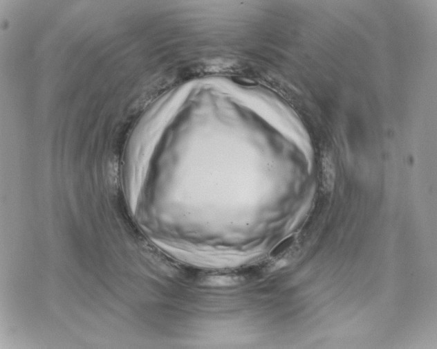 X0000071330657200607212008