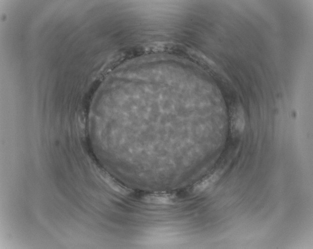 X0000071330661200607212008