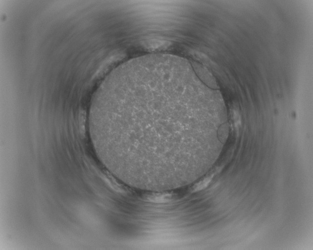 X0000071330664200607212008