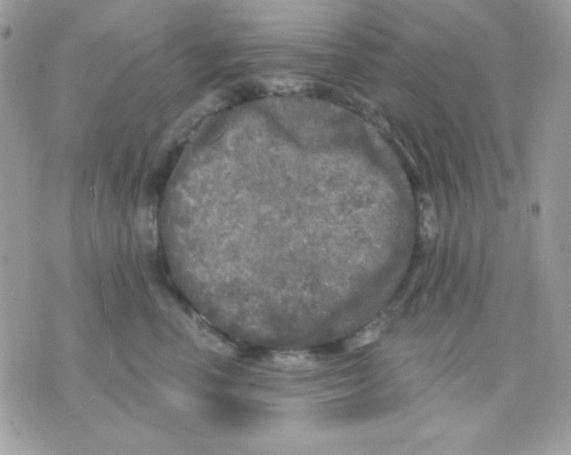 X0000071330666200607212008