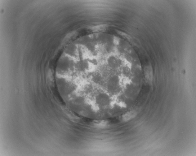 X0000071330667200607212008