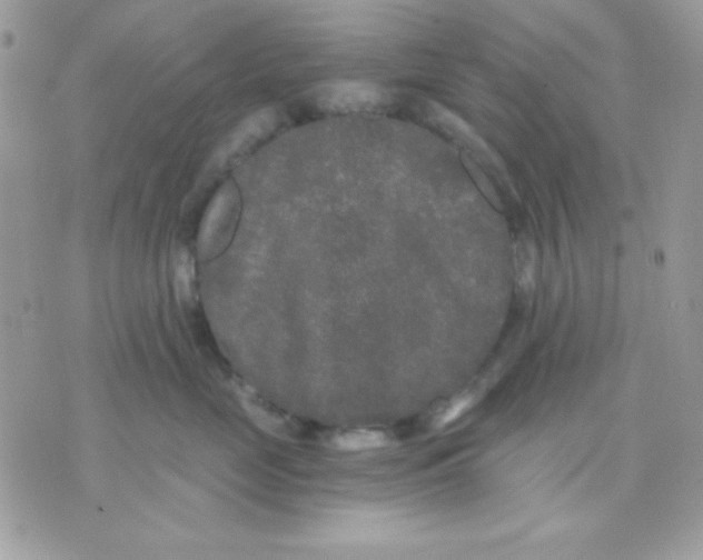 X0000071330669200607212008