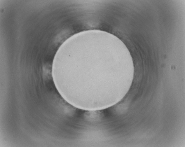 X0000071330672200607212008