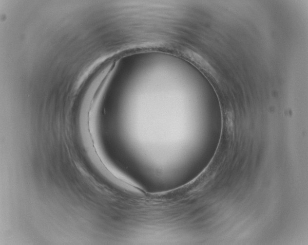 X0000071330676200607212008