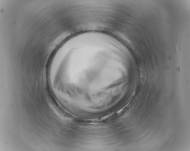 X0000071330678200607212008