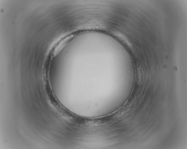 X0000071330680200607212008